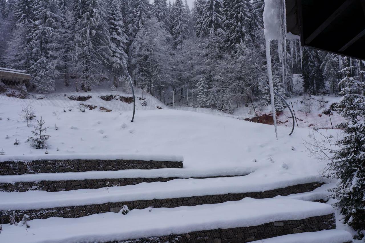 Grand Monastery Apart-Hotel Pamporovo Extérieur photo